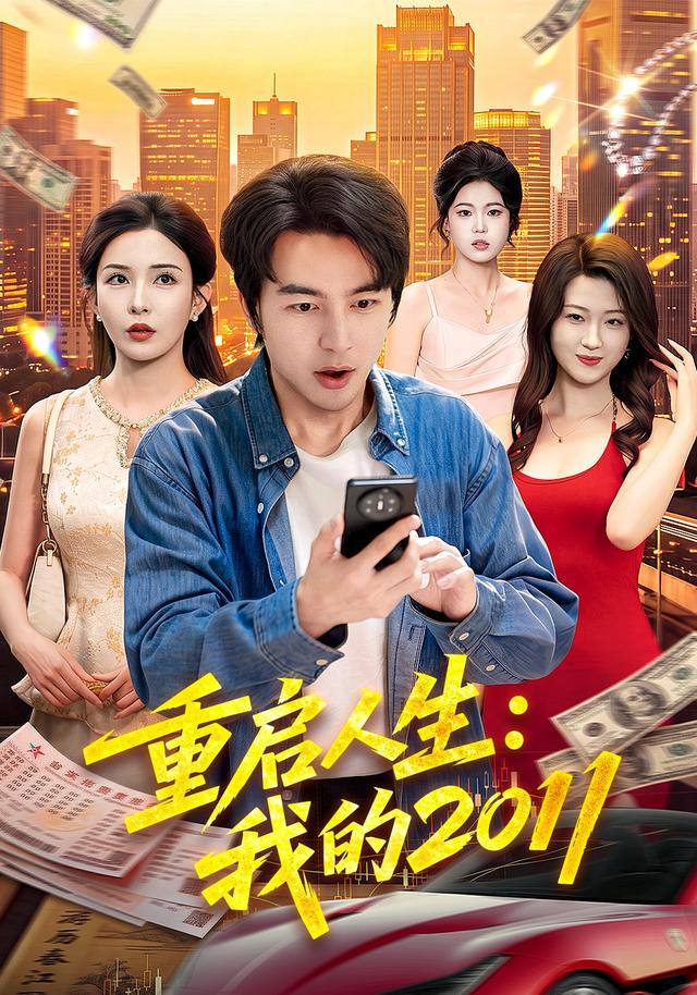 重启人生：我的2011海报